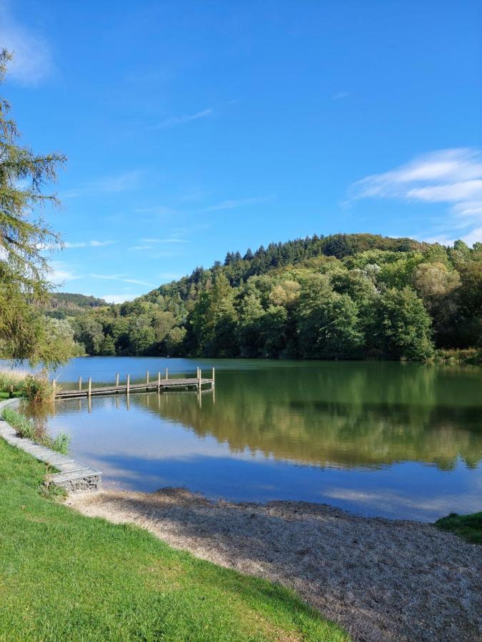 Haus Am See Willingen Willingen  Zewnętrze zdjęcie