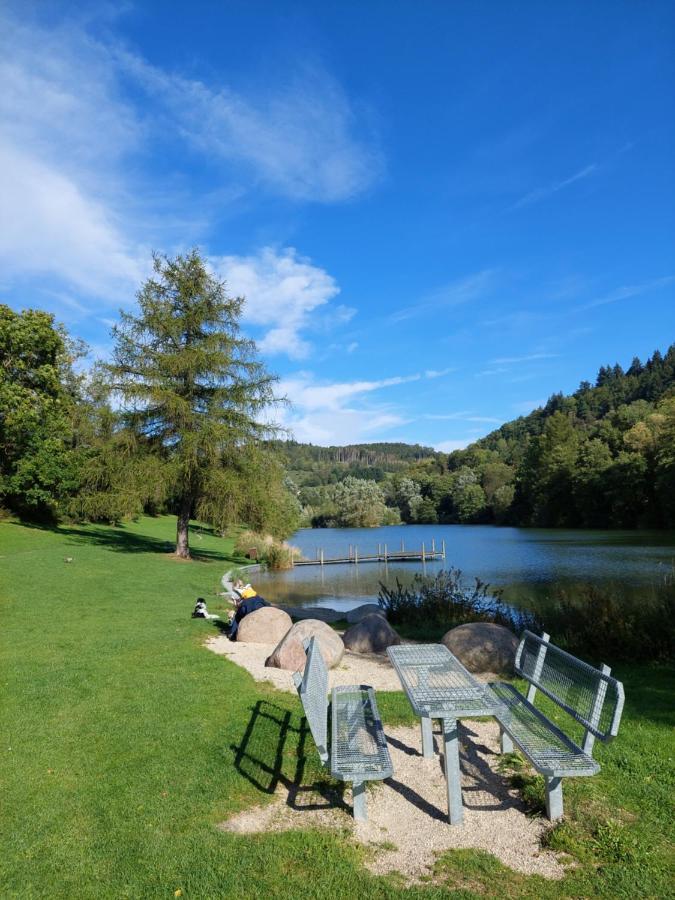 Haus Am See Willingen Willingen  Zewnętrze zdjęcie