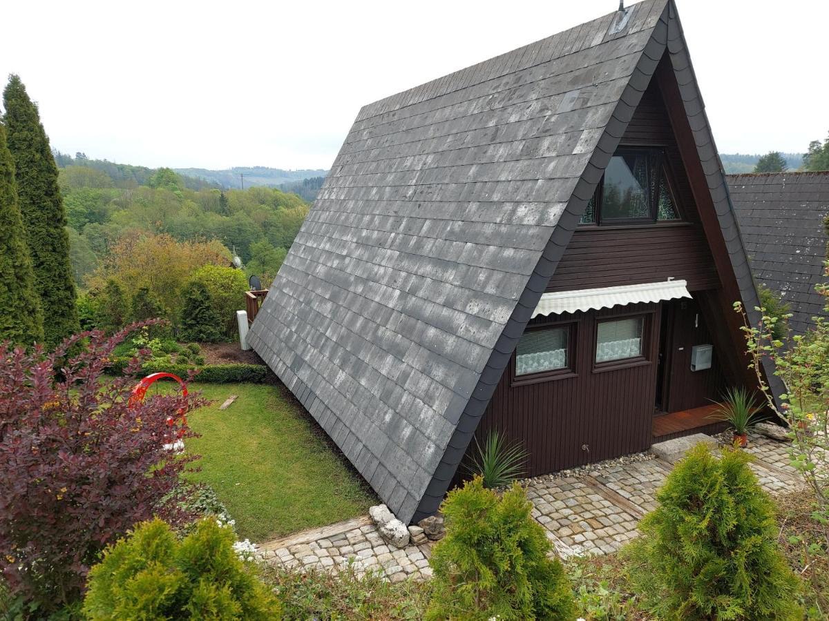 Haus Am See Willingen Willingen  Zewnętrze zdjęcie