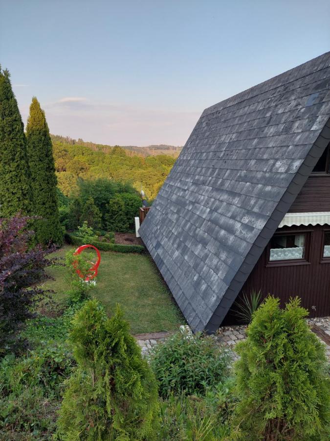 Haus Am See Willingen Willingen  Zewnętrze zdjęcie