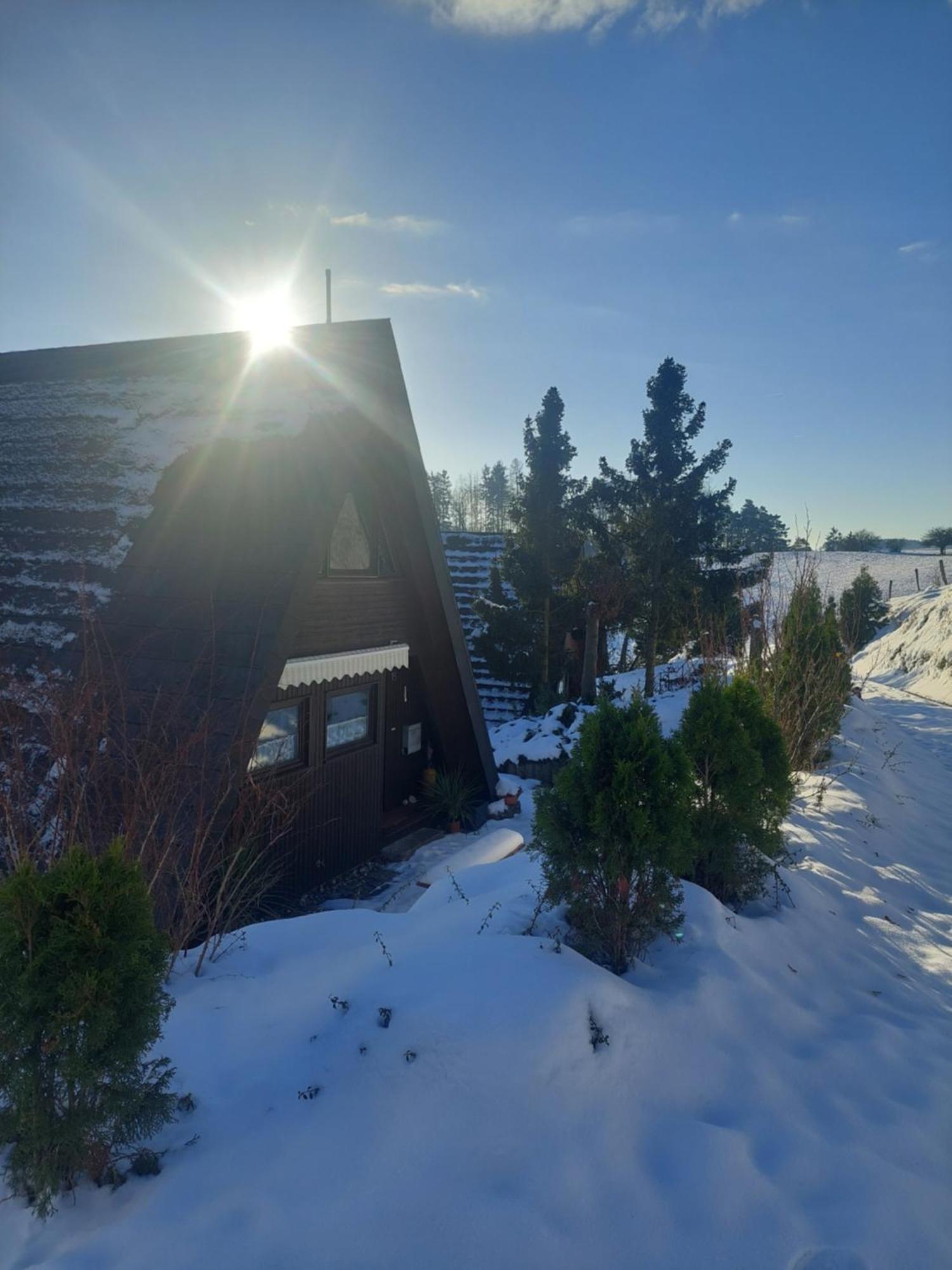 Haus Am See Willingen Willingen  Zewnętrze zdjęcie